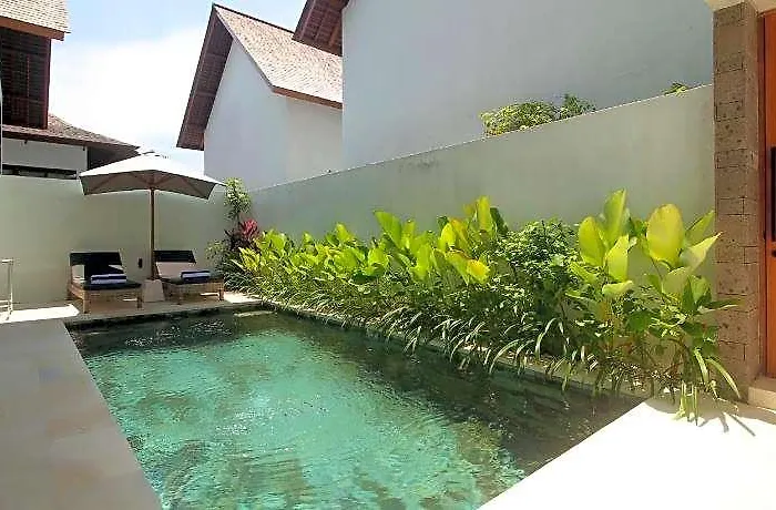 Nesara 5*